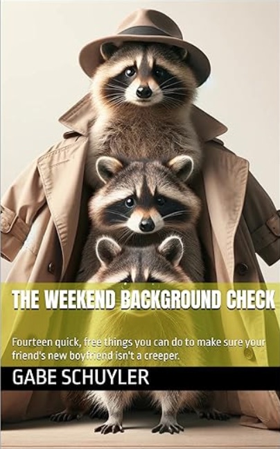 The Weekend Background Check book cover